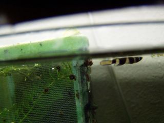 P9150040_320.jpg